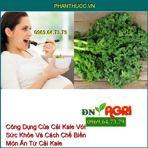 Công Dụng Của Cải Kale Với Sức Khỏe Và Cách Chế Biến Món Ăn Từ Cải Kale