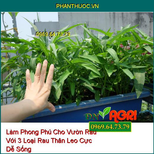 Làm Phong Phú Cho Vườn Rau Với 3 Loại Rau Thân Leo Cực Dễ Sống 