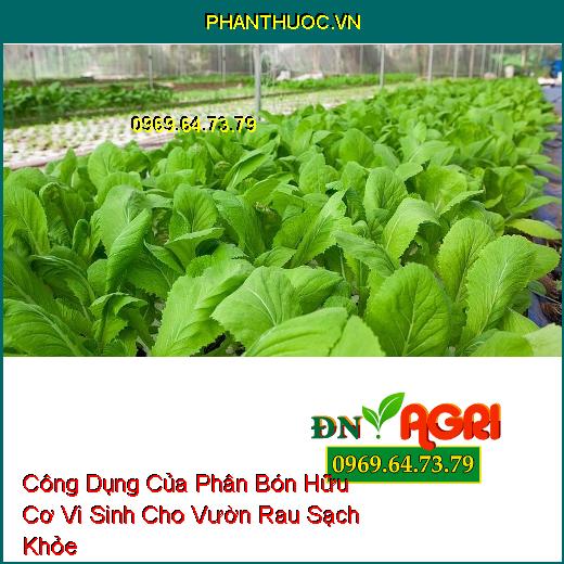 Công Dụng Của Phân Bón Hữu Cơ Vi Sinh Cho Vườn Rau Sạch Khỏe