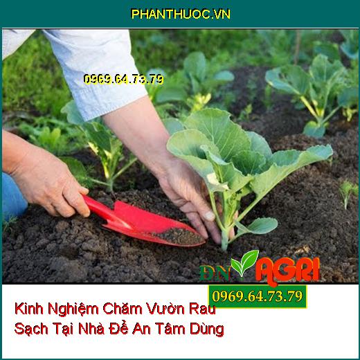 Kinh Nghiệm Chăm Vườn Rau Sạch Tại Nhà Để An Tâm Dùng