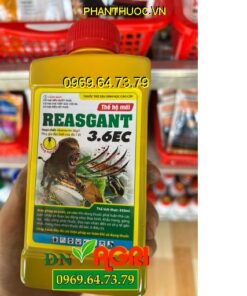 REASGANT 3.6EC- Đặc Trị Sâu Cuốn Lá- Sâu Đục Thân- Nhện Gié- Rệp Muội- Sâu Xanh