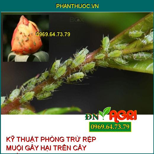 KỸ THUẬT PHÒNG TRỪ RỆP MUỘI GÂY HẠI TRÊN CÂY TRỒNG