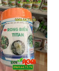 RONG BIỂN TITAN- Mát Bông- Mát Trái- Thúc Ra Hoa, Đậu Trái- Kéo Đọt Nhanh- Ra Rễ