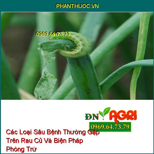 Các Loại Sâu Bệnh Thường Gặp Trên Rau Củ Và Biện Pháp Phòng Trừ