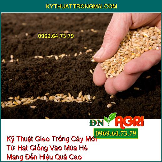 Kỹ Thuật Gieo Trồng Cây Mới Từ Hạt Giống Vào Mùa Hè Mang Đến Hiệu Quả Cao