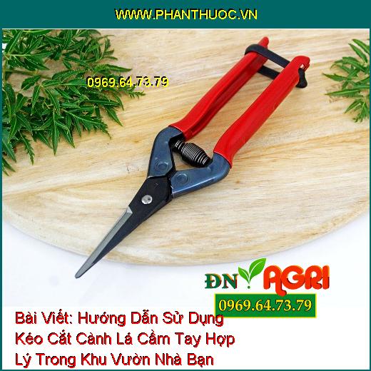 Hướng Dẫn Sử Dụng Kéo Cắt Cành Lá Cầm Tay Hợp Lý Trong Khu Vườn Nhà Bạn