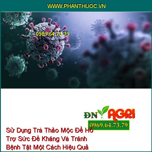 Sử Dụng Trà Thảo Mộc Để Hỗ Trợ Sức Đề Kháng Và Tránh Bệnh Tật Một Cách Hiệu Quả Nhất