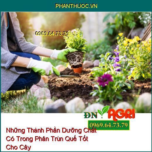 Những Thành Phần Dưỡng Chất Có Trong Phân Trùn Quế Tốt Cho Cây