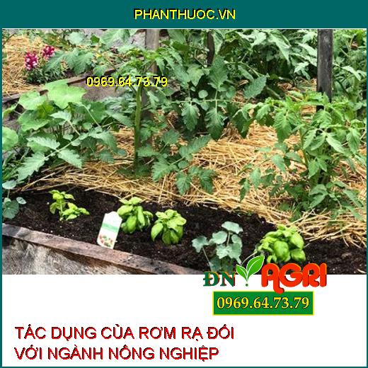 TÁC DỤNG CỦA RƠM RẠ ĐỐI VỚI NGÀNH NÔNG NGHIỆP