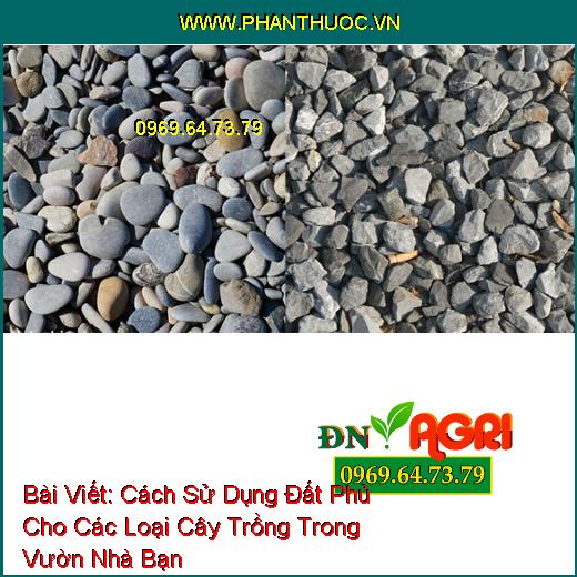 Cách Sử Dụng Đất Phủ Cho Các Loại Cây Trồng Trong Vườn Nhà Bạn