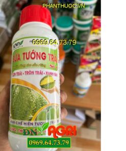 Sửa Tướng Trái Sầu Riêng- Lớn Trái- Tròn Trái- Xanh Gai- Tốt Rễ- Xanh Lá- Vàng Cơm