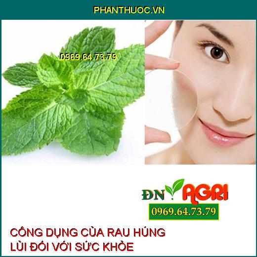 CÔNG DỤNG CỦA RAU HÚNG LỦI ĐỐI VỚI SỨC KHỎE