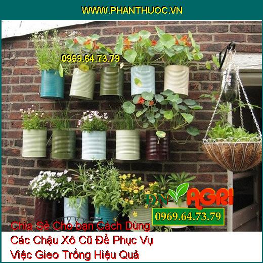 Chia Sẻ Cho bạn Cách Dùng Các Chậu Xô Cũ Để Phục Vụ Việc Gieo Trồng Hiệu Quả