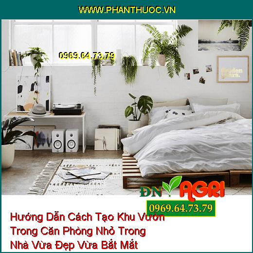 Hướng Dẫn Cách Tạo Khu Vườn Trong Căn Phòng Nhỏ Trong Nhà Vừa Đẹp Vừa Bắt Mắt