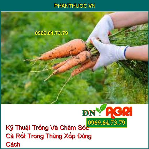 Kỹ Thuật Trồng Và Chăm Sóc Cà Rốt Trong Thùng Xốp Đúng Cách