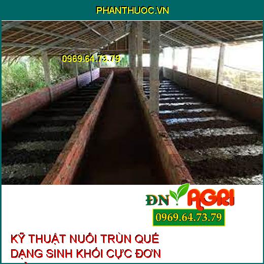 KỸ THUẬT NUÔI TRÙN QUẾ DẠNG SINH KHỐI CỰC ĐƠN GIẢN