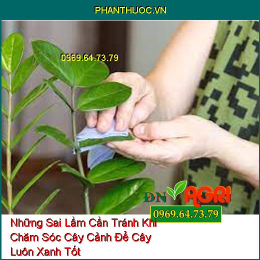 Những Sai Lầm Cần Tránh Khi Chăm Sóc Cây Cảnh Để Cây Luôn Xanh Tốt