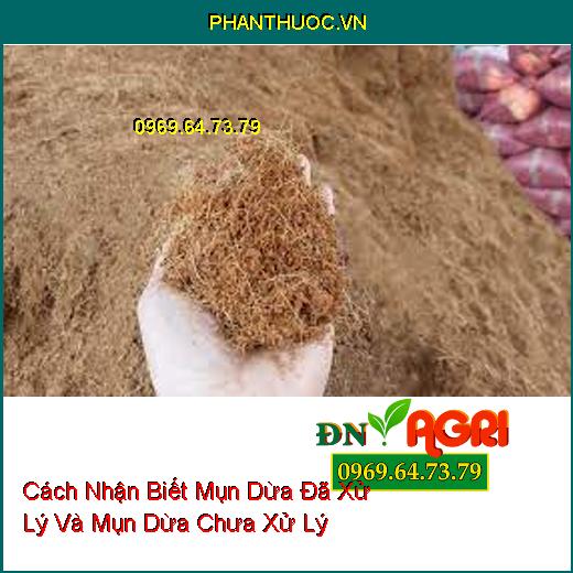 Cách Nhận Biết Mụn Dừa Đã Xử Lý Và Mụn Dừa Chưa Xử Lý