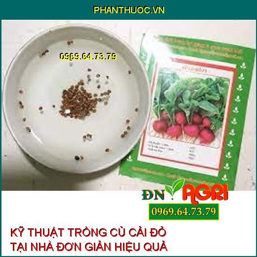 KỸ THUẬT TRỒNG CỦ CẢI ĐỎ TẠI NHÀ ĐƠN GIẢN HIỆU QUẢ