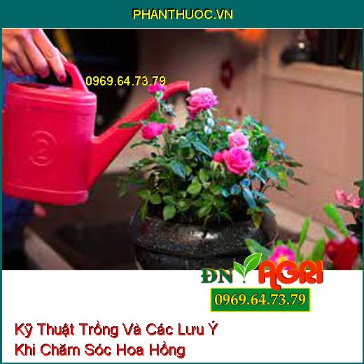 Kỹ Thuật Trồng Và Các Lưu Ý Khi Chăm Sóc Hoa Hồng 