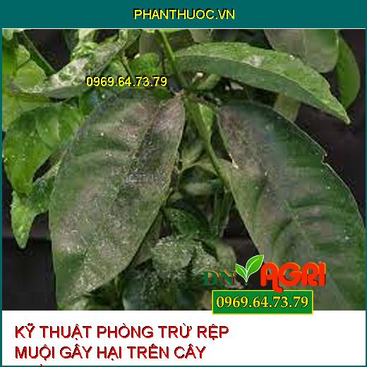 KỸ THUẬT PHÒNG TRỪ RỆP MUỘI GÂY HẠI TRÊN CÂY TRỒNG