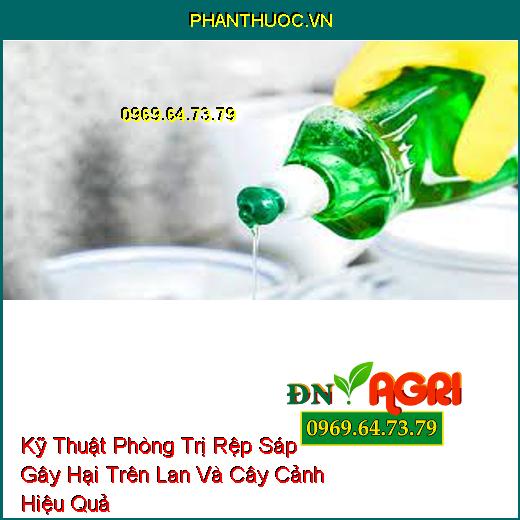 Kỹ Thuật Phòng Trị Rệp Sáp Gây Hại Trên Lan Và Cây Cảnh Hiệu Quả