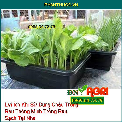 Lợi Ích Khi Sử Dụng Chậu Trồng Rau Thông Minh Trồng Rau Sạch Tại Nhà