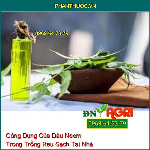 Công Dụng Của Dầu Neem Trong Trồng Rau Sạch Tại Nhà