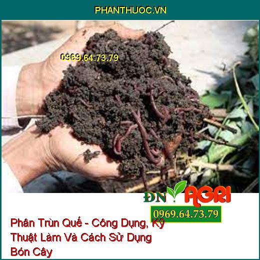 Phân Trùn Quế - Công Dụng, Kỹ Thuật Làm Và Cách Sử Dụng Bón Cây