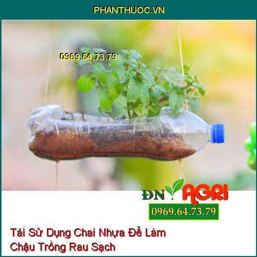 Tái Sử Dụng Chai Nhựa Để Làm Chậu Trồng Rau Sạch