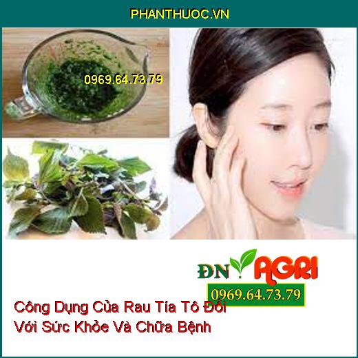 Công Dụng Của Rau Tía Tô Đối Với Sức Khỏe Và Chữa Bệnh