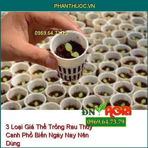 3 Loại Giá Thể Trồng Rau Thủy Canh Phổ Biến Ngày Nay Nên Dùng