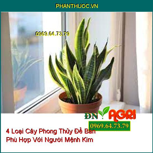 4 Loại Cây Phong Thủy Để Bàn Phù Hợp Với Người Mệnh Kim