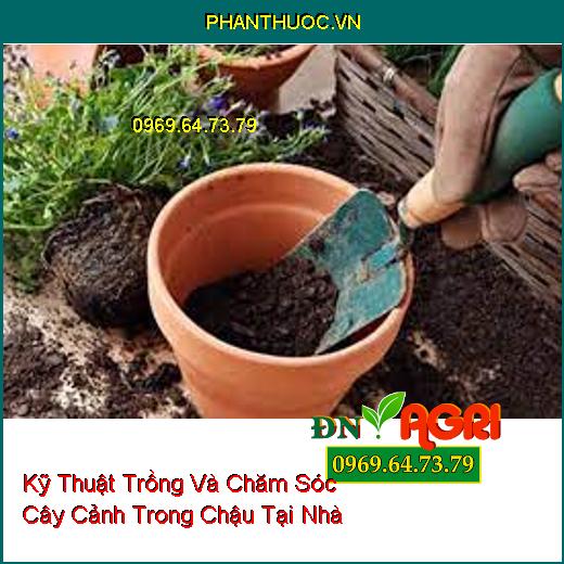 Kỹ Thuật Trồng Và Chăm Sóc Cây Cảnh Trong Chậu Tại Nhà