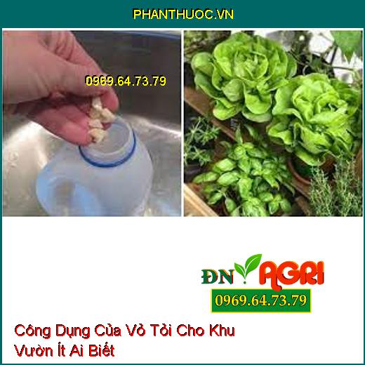 Công Dụng Của Vỏ Tỏi Cho Khu Vườn Ít Ai Biết