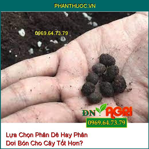 Lựa Chọn Phân Dê Hay Phân Dơi Bón Cho Cây Tốt Hơn?