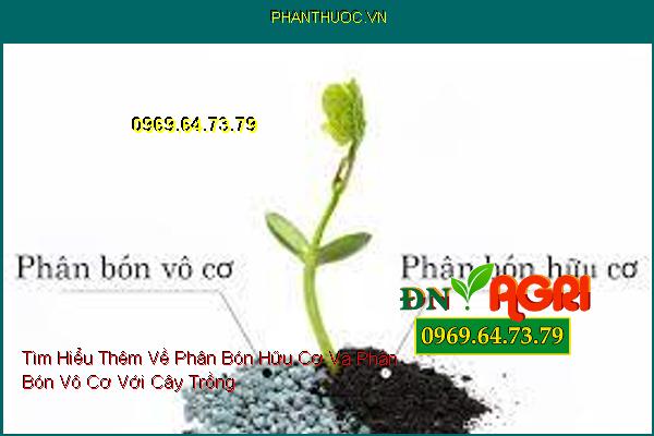 Tìm Hiểu Thêm Về Phân Bón Hữu Cơ Và Phân Bón Vô Cơ Với Cây Trồng