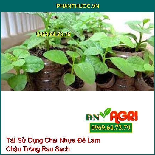 Tái Sử Dụng Chai Nhựa Để Làm Chậu Trồng Rau Sạch