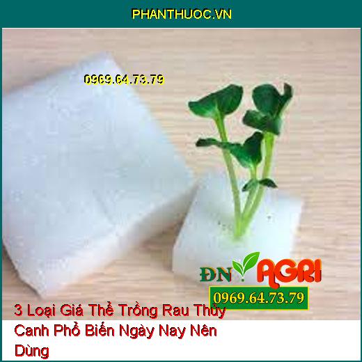 3 Loại Giá Thể Trồng Rau Thủy Canh Phổ Biến Ngày Nay Nên Dùng