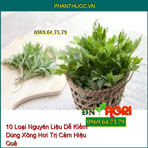 10 Loại Nguyên Liệu Dễ Kiếm Dùng Xông Hơi Trị Cảm Hiệu Quả