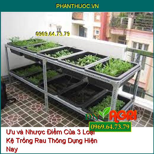 Ưu và Nhược Điểm Của 3 Loại Kệ Trồng Rau Thông Dụng Hiện Nay