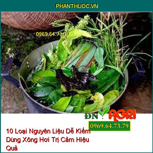 10 Loại Nguyên Liệu Dễ Kiếm Dùng Xông Hơi Trị Cảm Hiệu Quả