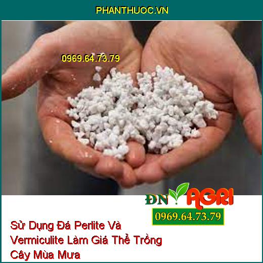 Sử Dụng Đá Perlite Và Vermiculite Làm Giá Thể Trồng Cây Mùa Mưa