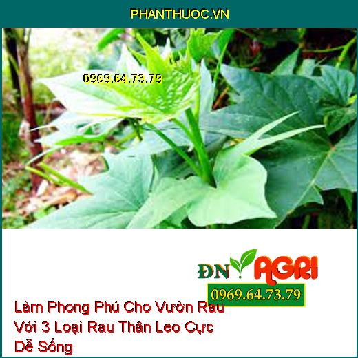 Làm Phong Phú Cho Vườn Rau Với 3 Loại Rau Thân Leo Cực Dễ Sống 