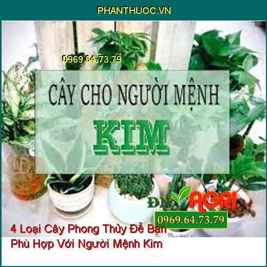 4 Loại Cây Phong Thủy Để Bàn Phù Hợp Với Người Mệnh Kim