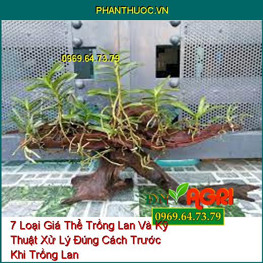 7 Loại Giá Thể Trồng Lan Và Kỹ Thuật Xử Lý Đúng Cách Trước Khi Trồng Lan