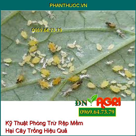 Kỹ Thuật Phòng Trừ Rệp Mềm Hại Cây Trồng Hiệu Quả