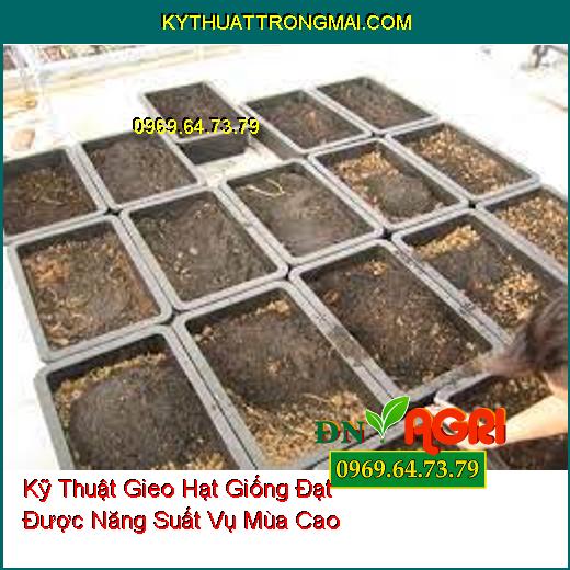 Kỹ Thuật Gieo Hạt Giống Đạt Được Năng Suất Vụ Mùa Cao