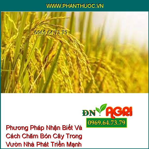 Phương Pháp Nhận Biết Và Cách Chăm Bón Cây Trong Vườn Nhà Phát Triển Mạnh