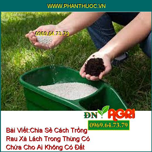 Chia Sẻ Cách Trồng Rau Xà Lách Trong Thùng Có Chứa Cho Ai Không Có Đất Trồng